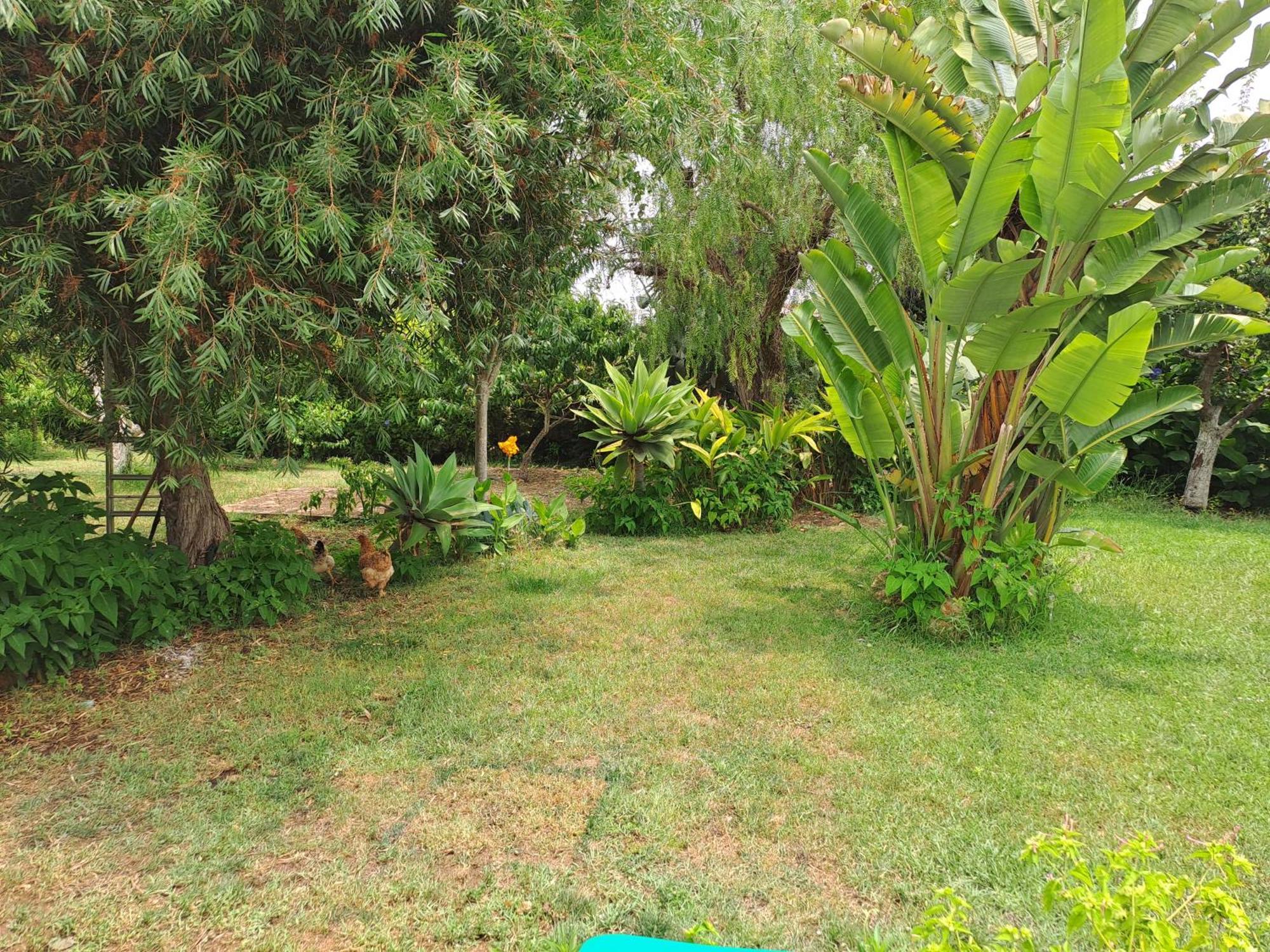 Traquility At Fonte Coberta Apartamento